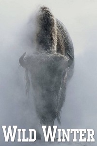 National Geographic : Зимний сезон
